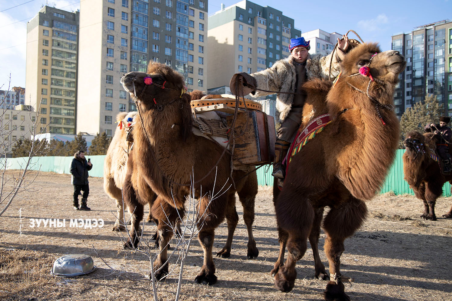 Онцлох фото: Монгол нүүдэл